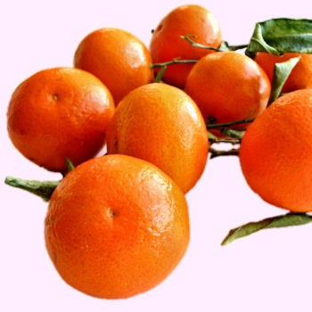 tangerines3.jpg