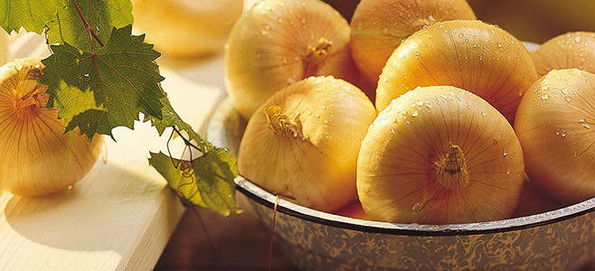 buy onions online
