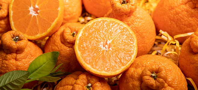 Sumo Citrus