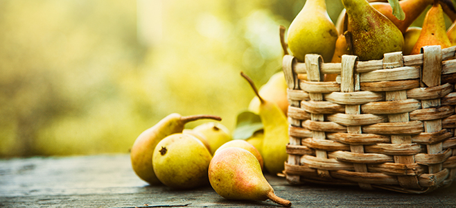 fall pears