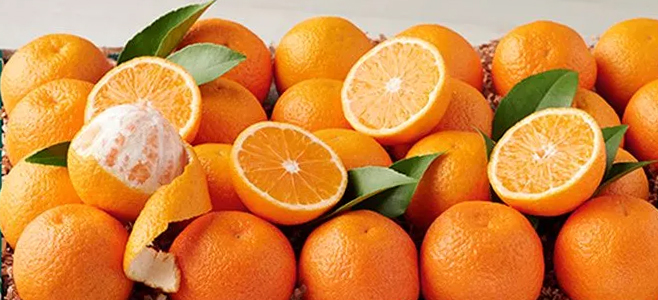 honey mandarin oranges