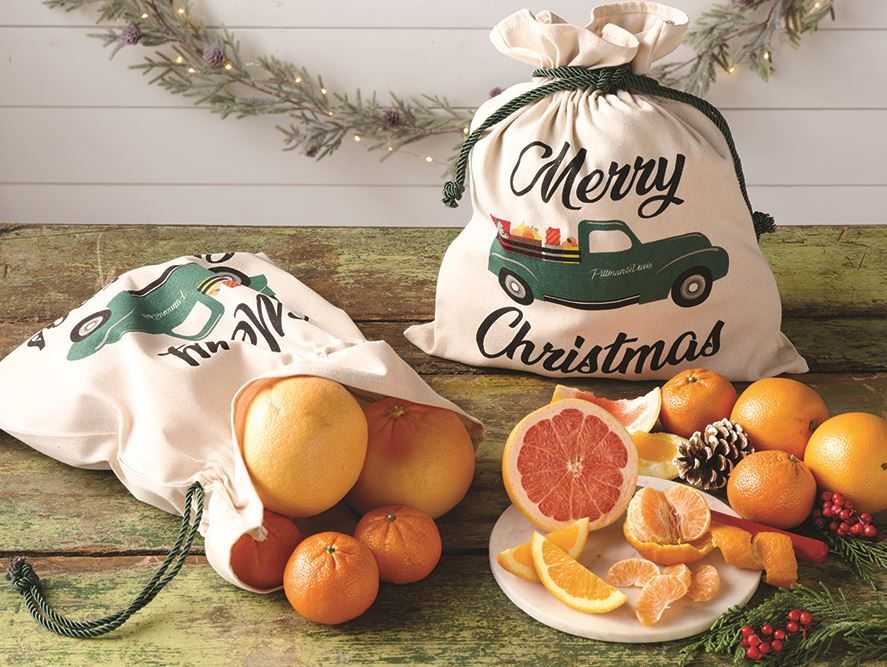 Merry Christmas Citrus Gift Bag