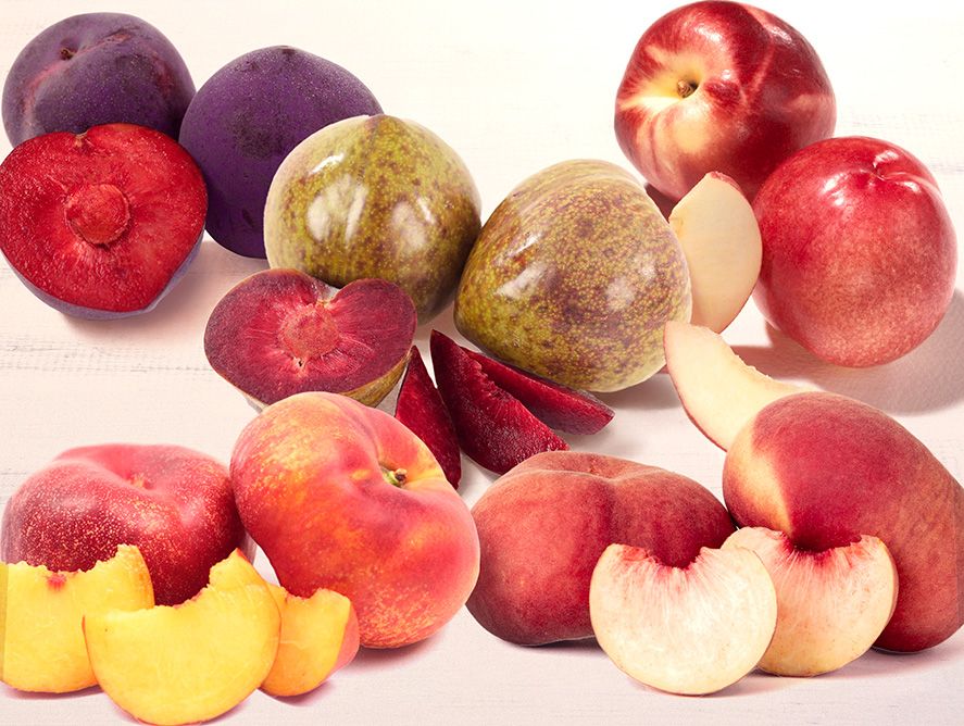 Grower's Best Variety Box