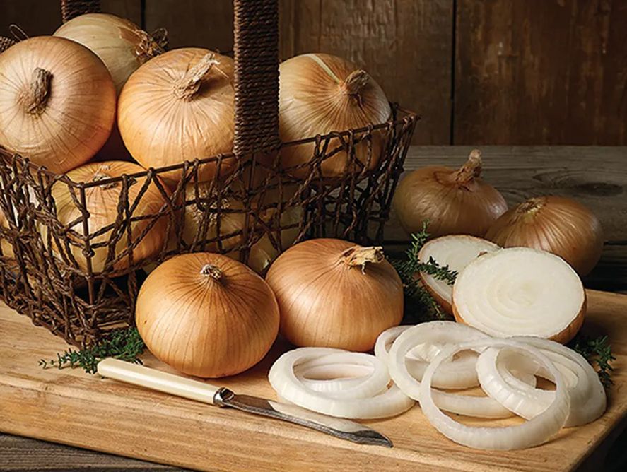 onion出品 Vidalia Onions