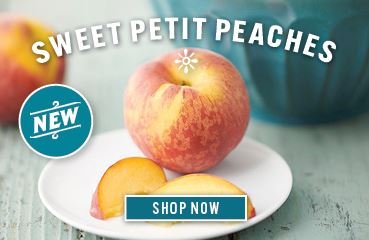 ifak pouch for plate carrier