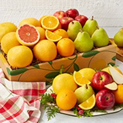 FRUiTSフルーツ Vol.5〜13 9冊セット 1997〜1998年 FRUiTSフルーツ Vol.5〜13 9冊セット 1997〜1998年 FRUiTSフルーツ Vol.