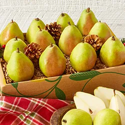 Pears category image