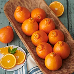 Honeybells category image