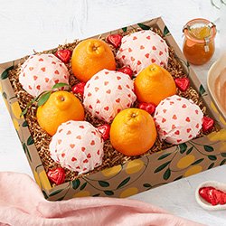 Gifts Under $40 category image