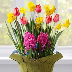 Gifts that Grow category image