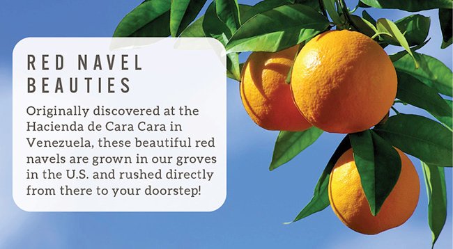 Cara Cara Navels Grove