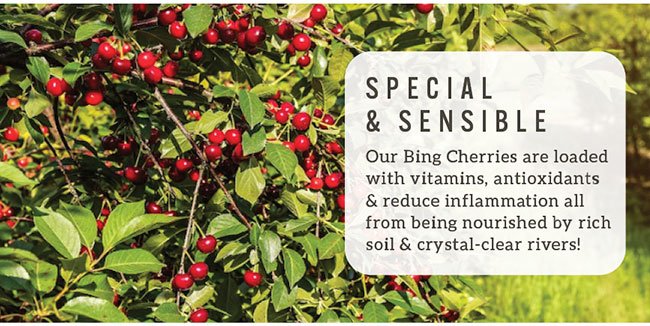 Bing Cherries Grove