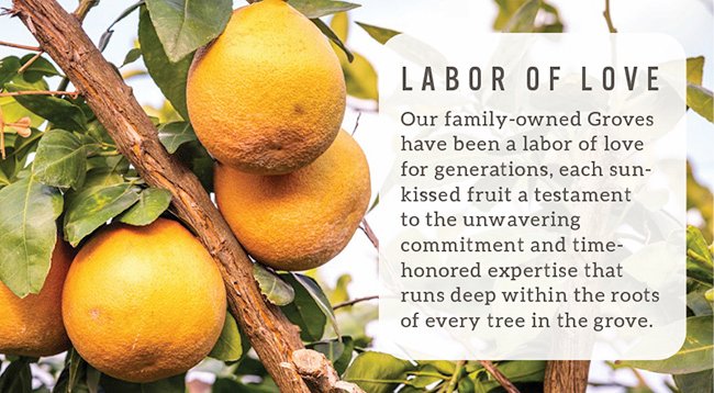 Gold Nugget Mandarin Grove