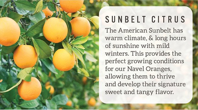 Monthly Citrus Club Subscription - Navel Oranges Monthly Delivery
