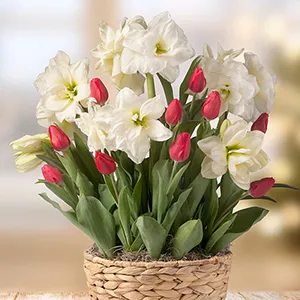 Gifts that Grow category image
