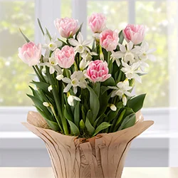 Gifts that Grow category image