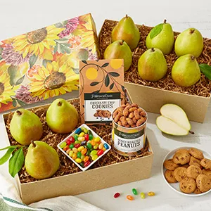Fall Celebrations category image