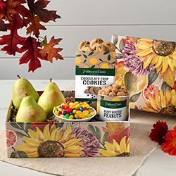 Fall Celebrations category image