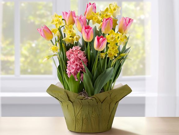 Spring Blooms Bulb Garden