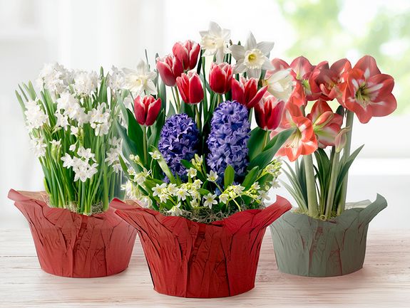 Gardens of the Season Club