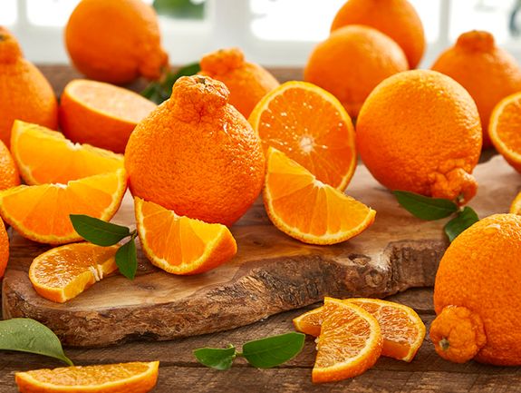 9 Golden Honeybells And 9 Rio Ruby™ Red Grapefruit