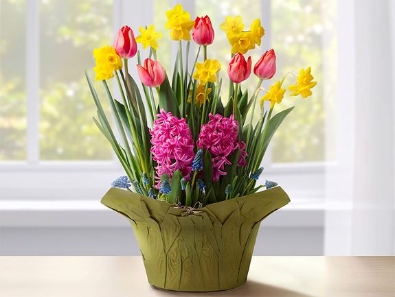 Sunny Spring Bloom Mix