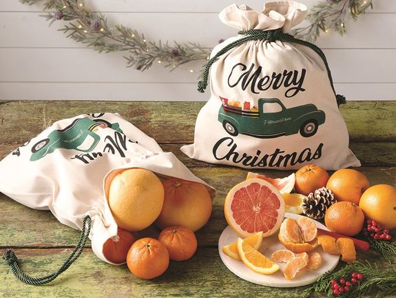 Merry Christmas Citrus Gift Bag