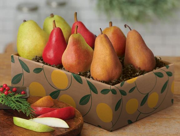 リリパットレーン　APPLES `N’ PEARS Lilliput Lane APPLES N PEARS 2001 L2502 - ミニチュアハウス