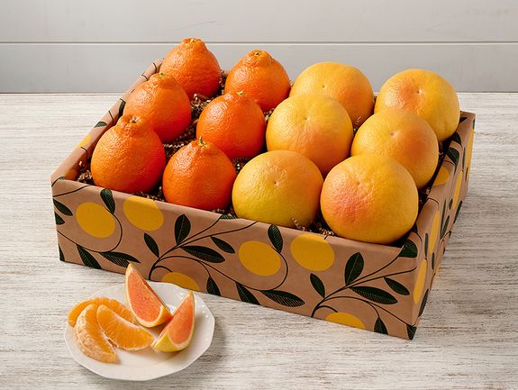 6 Golden Honeybells And 6 Rio Ruby™ Red Grapefruit