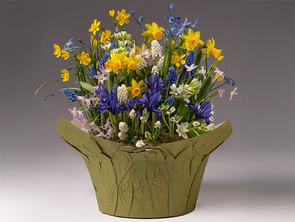 Joyful Blooms Bulb Garden