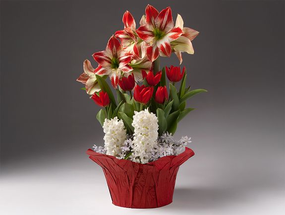 Deluxe Holiday Bulb Garden