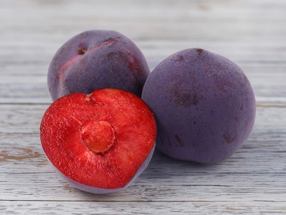 Midnight Rose Aprium