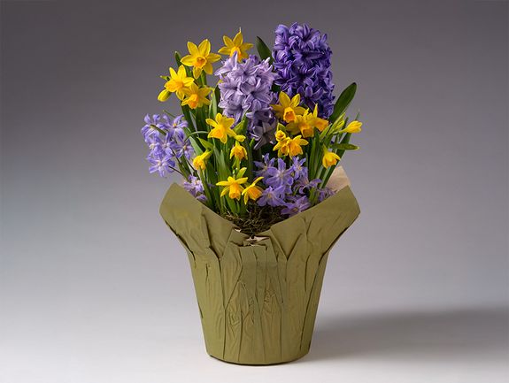 Sunny Skies Spring Bulb Garden