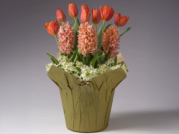 Shades of Pink Bulb Garden