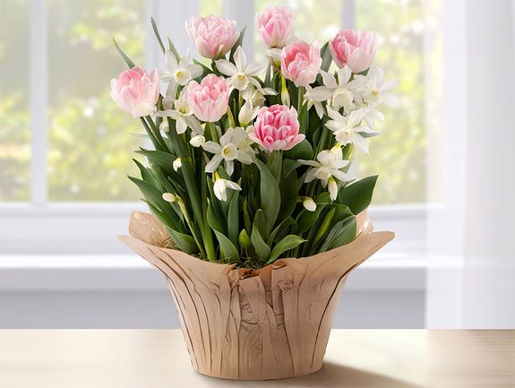 Spring Tulip & Daffodil Garden