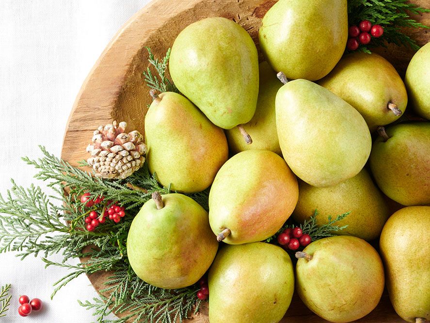Pear Intasin Images Of Pears