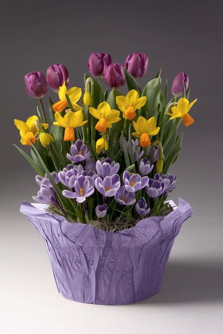 Floral-test-1_01.jpg