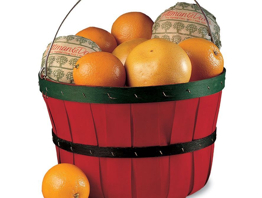 Quarter Bushel Bountiful Basket Pittman & Davis