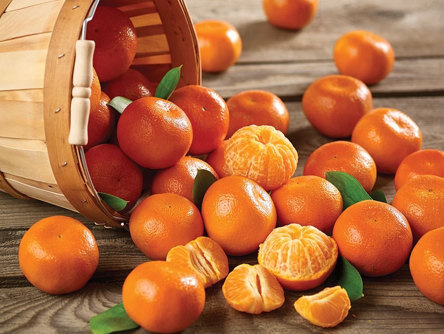 Honey Mandarins