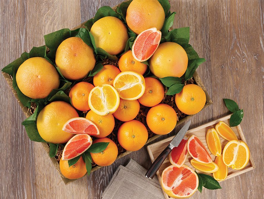 Ruby Red Grapefruit and Navel Oranges