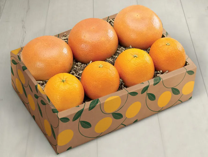 Citrus Supply Club Six-pack Mixed Oranges and Grapefruit