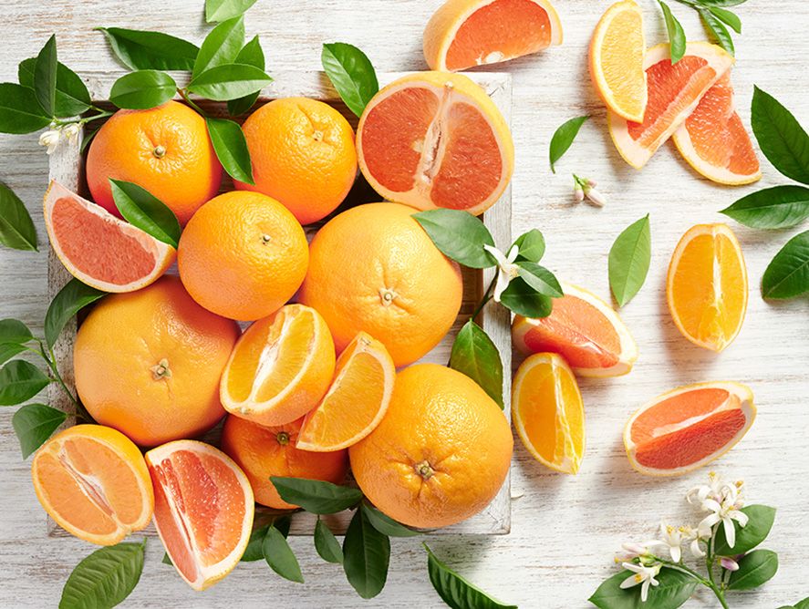 Citrus Supply Club: Mixed Navel Oranges and Grapefruit