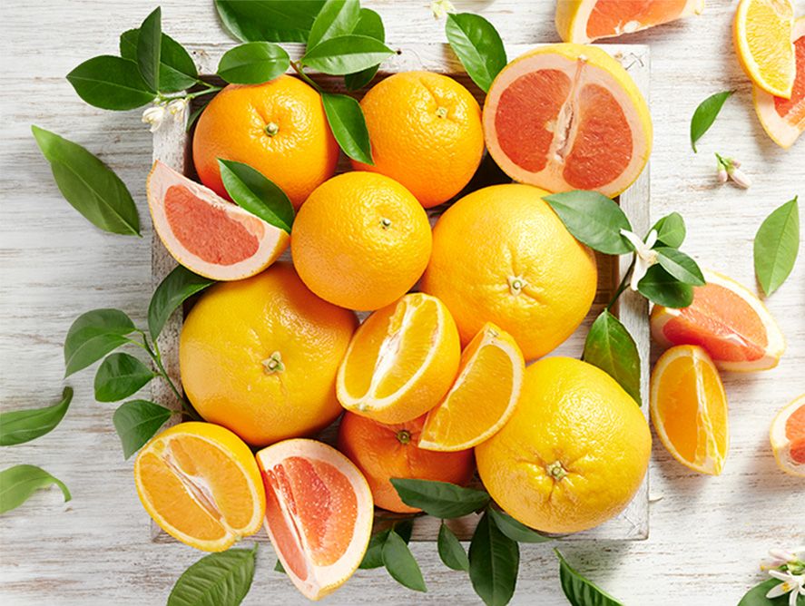Ruby Red Grapefruit and Navel Oranges