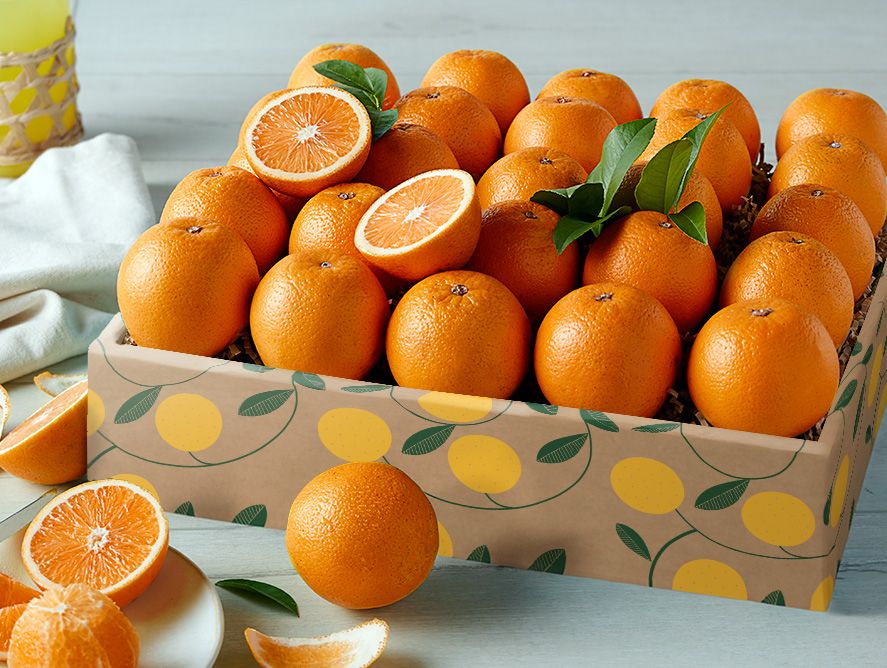 PD26-CS-Oranges_05.jpg