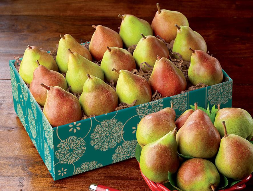 Lil Princess Pears Baby Comice Perfect For Snacking Pittman Davis Lil Princess Pears Baby Comice Perfect For Snacking Pittman Davis