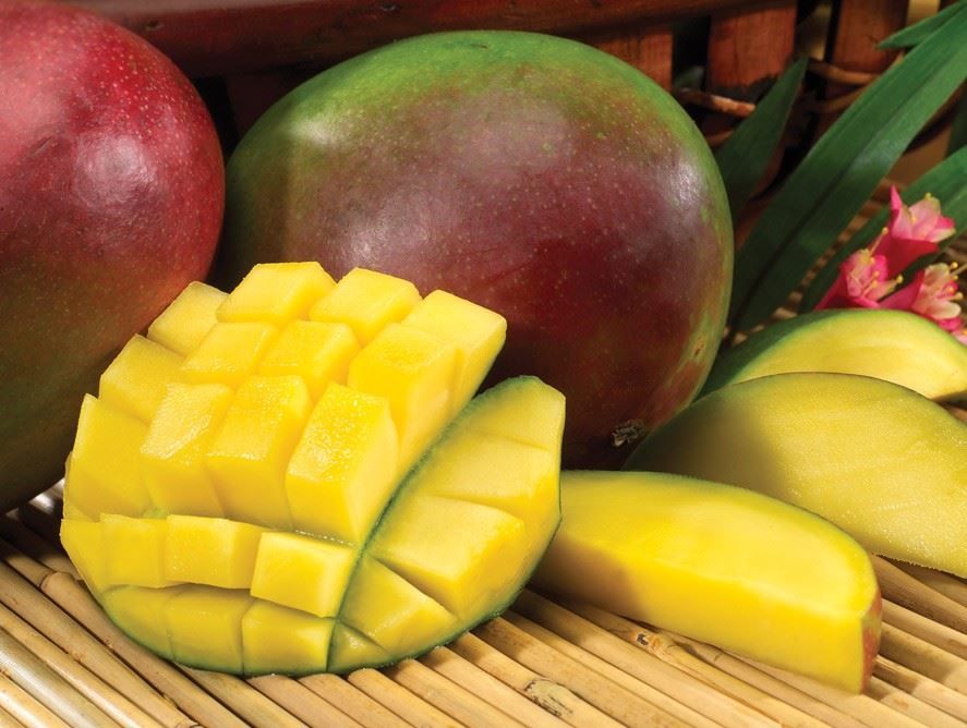 Tropical Mangoes