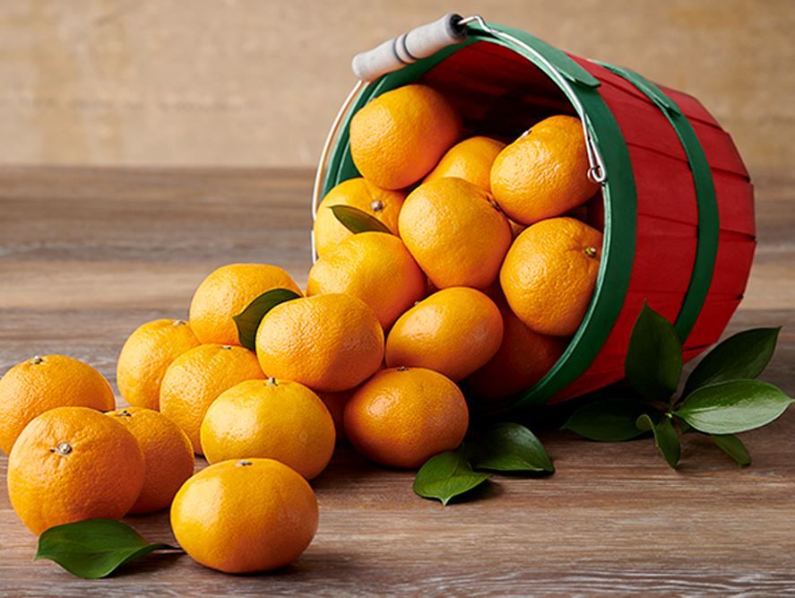 Clementines Pittman & Davis