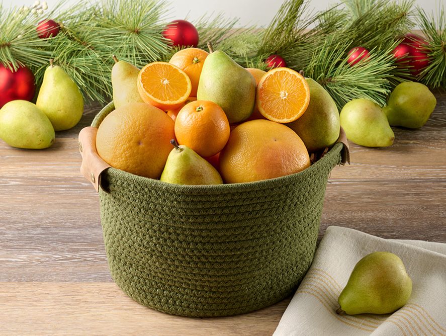 Winter Wonder Fruit Basket