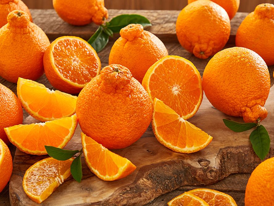 Golden Honeybells
