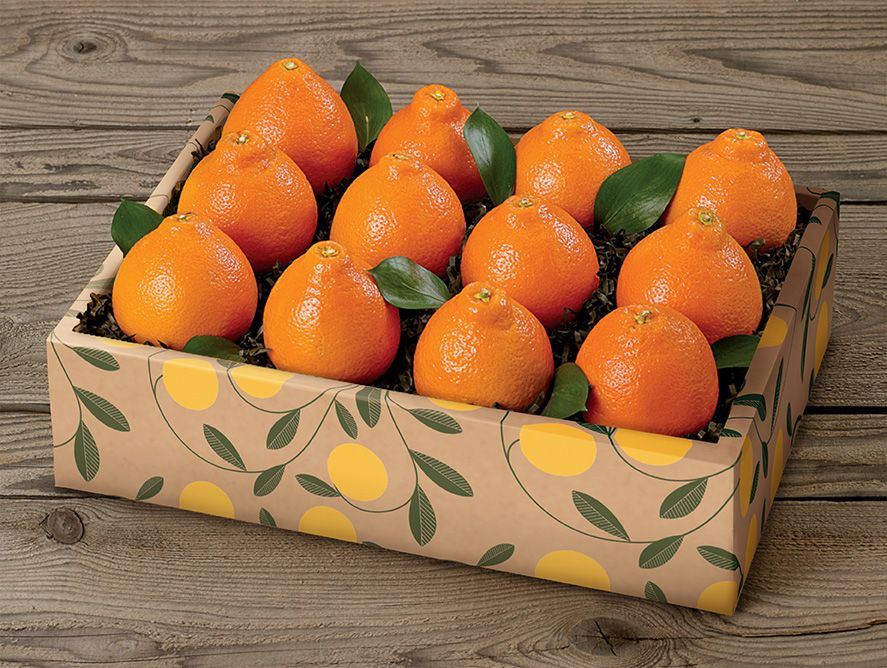pd25-honeybells_02.jpg